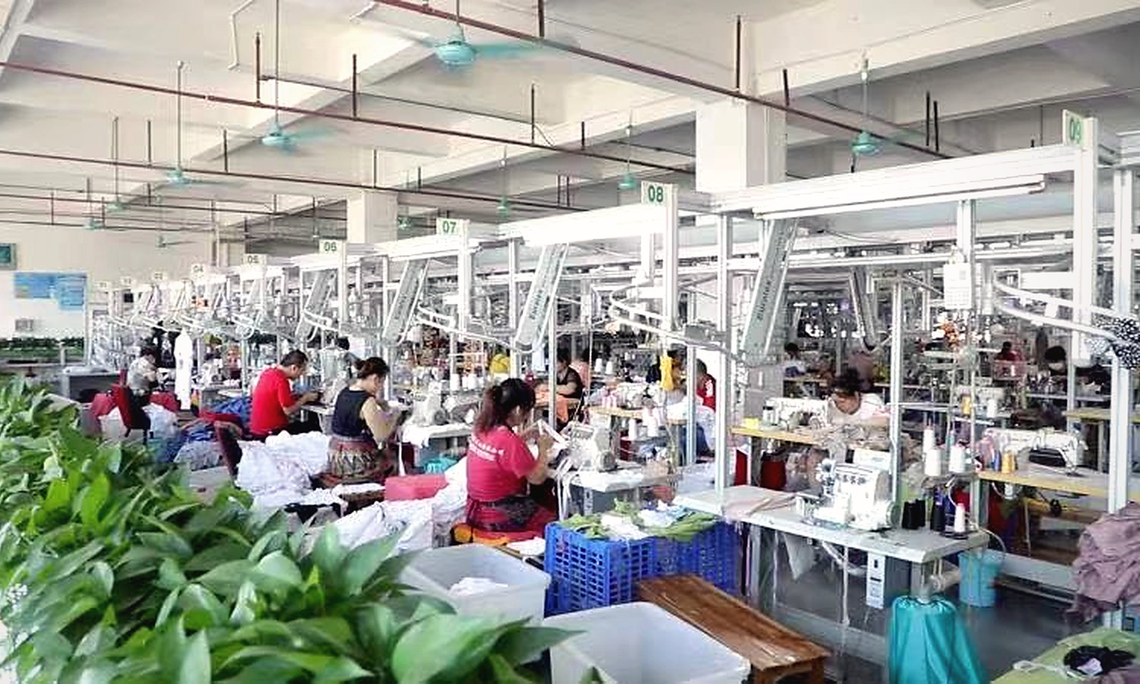 Sample sewing and development